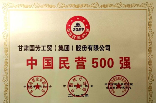 2012年，年度民营500强