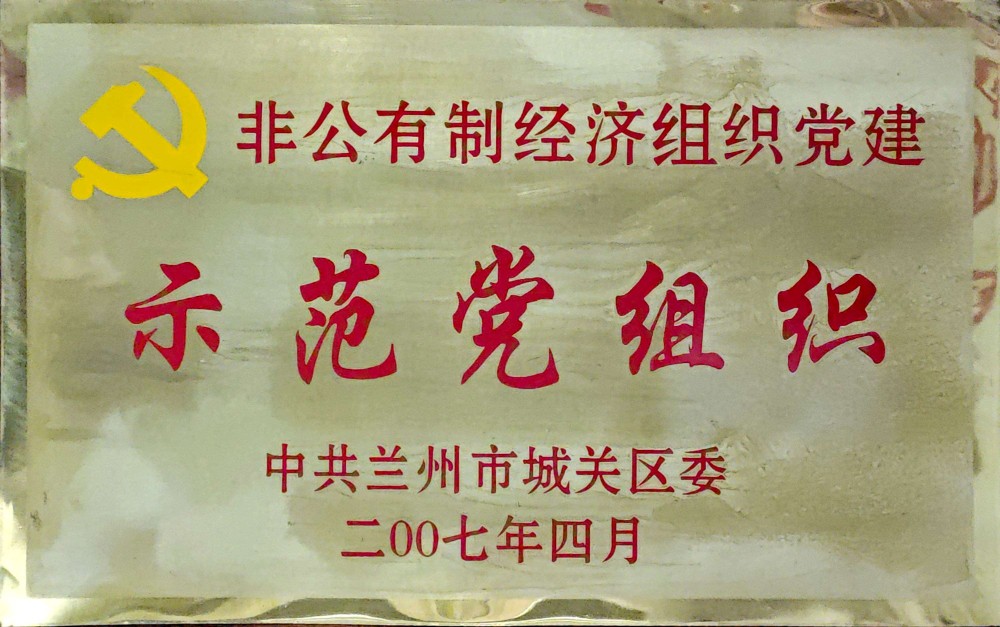 2007年 荣获非公有制经济组织党建 示范党组织.jpg